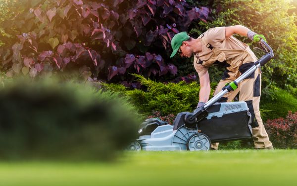 Yard Care Service in Ormond Beach