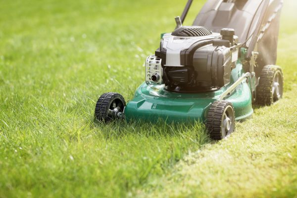 Yard Cutting in Ormond Beach