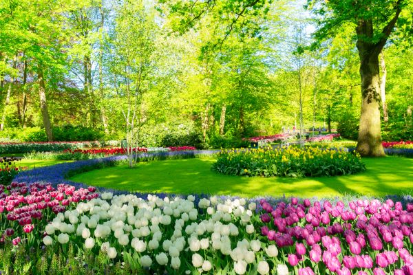 Cost of Spring Lawn Care in Ormond Beach