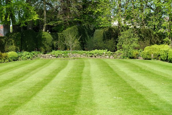 Grass Care Service in Ormond Beach