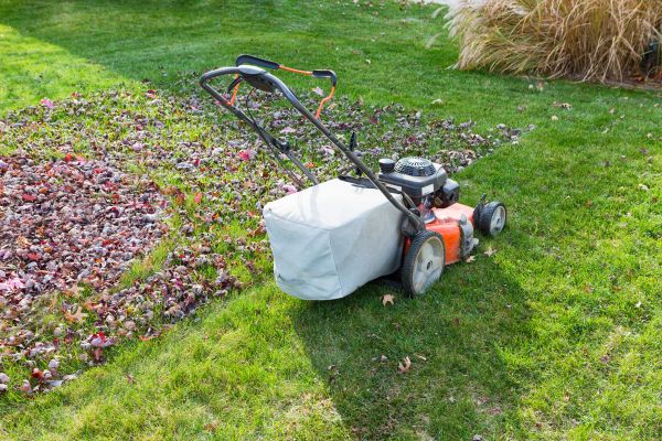 Seasonal Lawn Care in Ormond Beach
