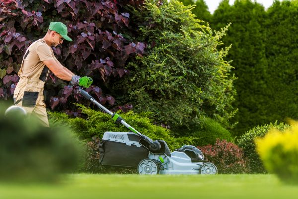 Lawn Management in Ormond Beach