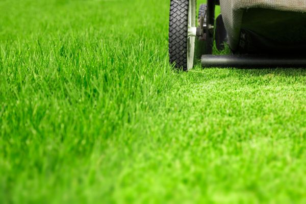 Weekly Lawn Care in Ormond Beach