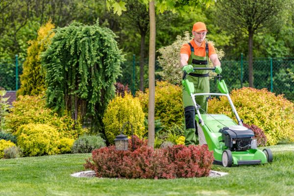 Commercial Yard Maintenance in Ormond Beach
