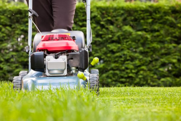 Grass Trimming Service in Ormond Beach