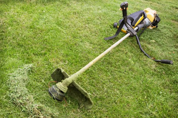 Cost of Hillside Weed Whacking in Ormond Beach