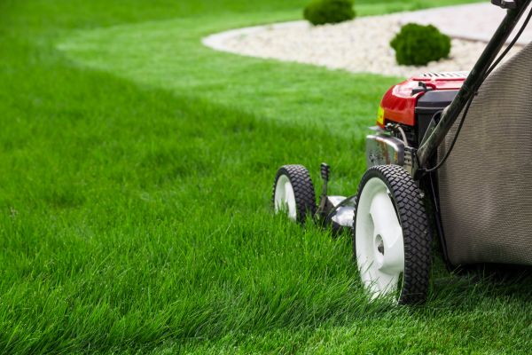Weekly Mowing in Ormond Beach