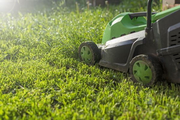 Lot Mowing in Ormond Beach