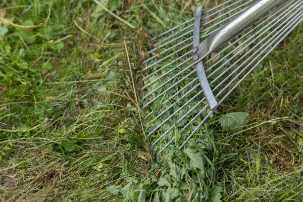 Cost of Thatch Raking in Ormond Beach