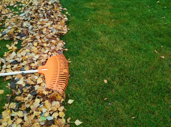 Fall Lawn Care in Ormond Beach