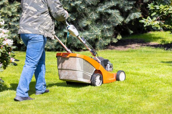 Cost of Springtime Lawn Care in Ormond Beach