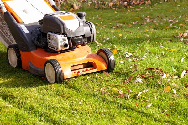 Fall Mowing in Ormond Beach