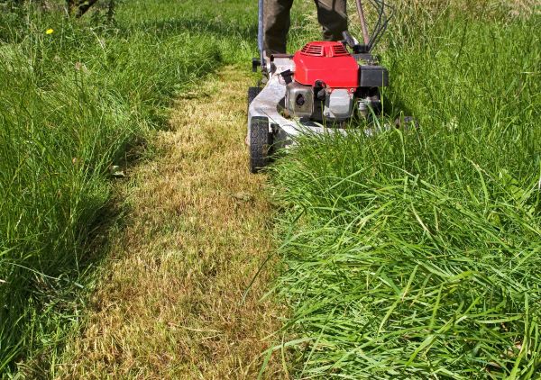 Leaf Mowing in Ormond Beach
