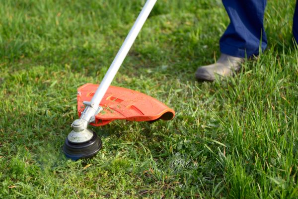 Cost of Lawn Weed Whacking in Ormond Beach