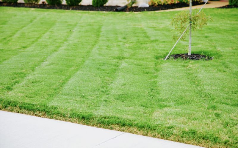 Healthy Lawn Results